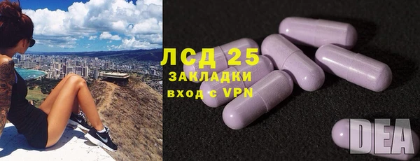 прущие крисы Надым