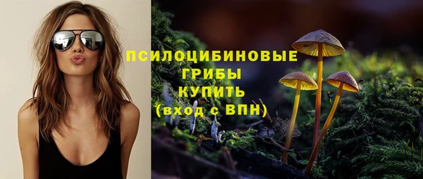 гашик Семёнов
